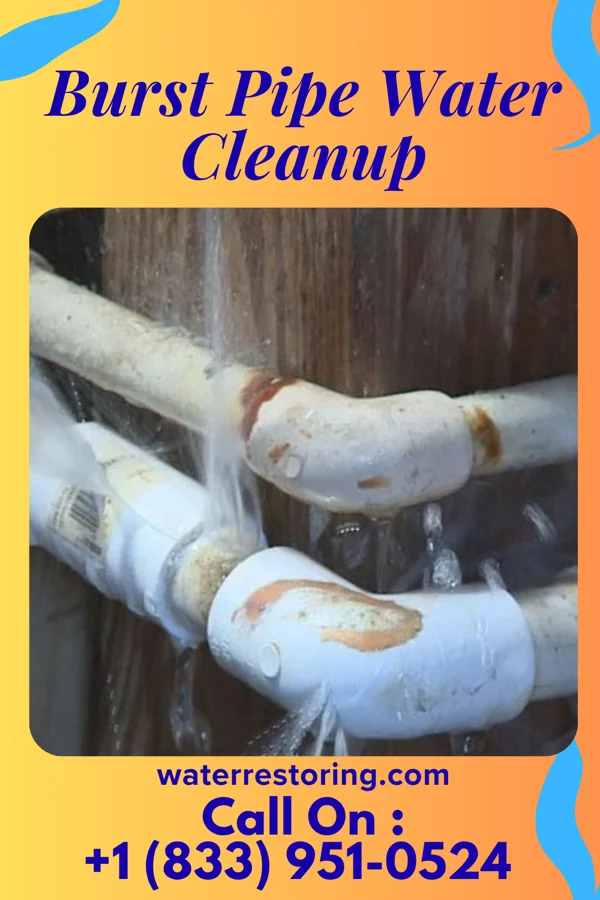 Burst Pipe Water Cleanup in Whiteside, MO