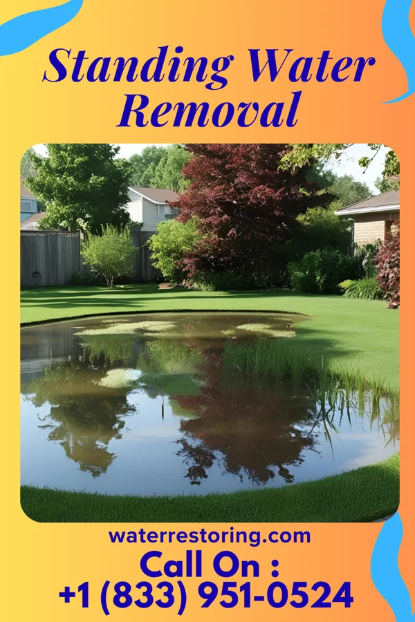 Standing Water Removal in Whiteside, MO